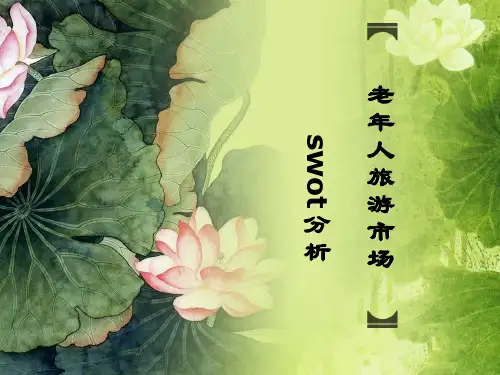 老年人旅游市场swot分析