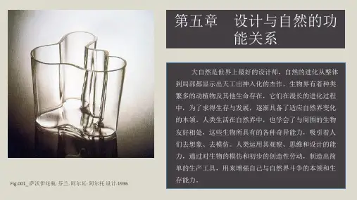 设计与自然第五章 设计与自然的功能关系