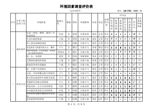 环境因素调查评价表