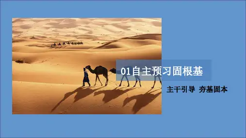 高中地理第二章第一节荒漠化的防治——以我国西北地区为例第二课时荒漠化的人为原因和防治课件人教版必修3