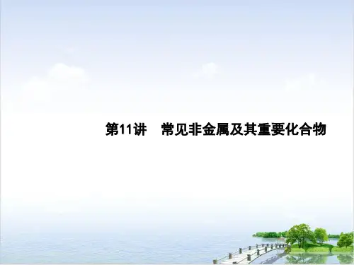 高考化学二轮专题复习常见非金属及其重要化合物101张