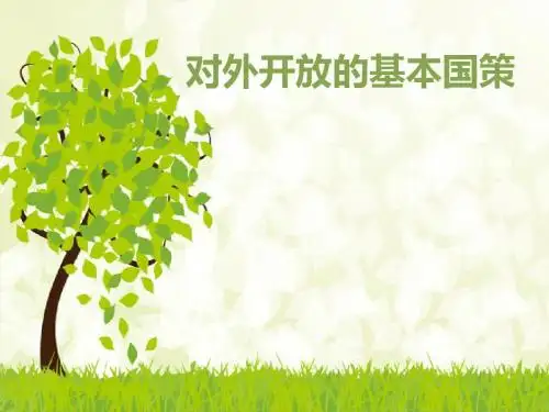 对外开放的基本国策