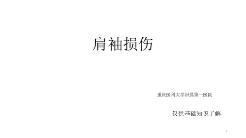 肩袖损伤患者PPT课件