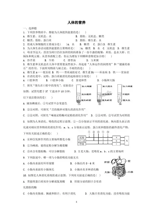 人体的营养