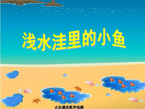人教版二年级语文上册-28.浅水洼里的小鱼课件