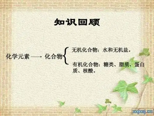 第二章 第三节 细胞中的糖类和脂质