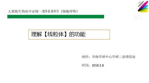 人教版高中生物必修1:难点_理解【线粒体】的功能