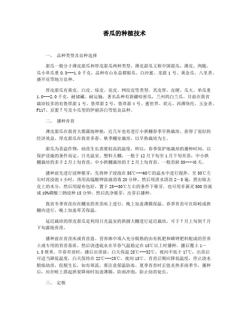香瓜的种植技术
