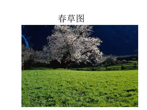 春草图