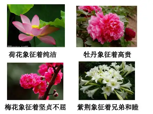 人教版数学四年级下册乘除法的意义和各部分的关系ppt