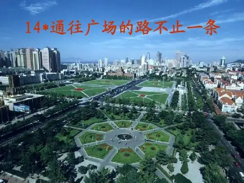14.通往广场的路不止一条课件ppt