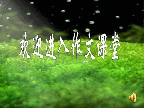 细节描写公开课