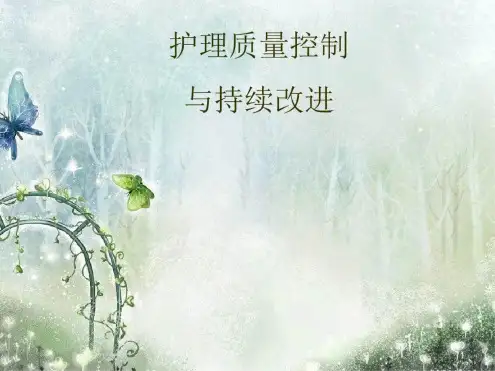 护理质量控制-PPT幻灯片课件
