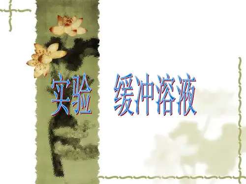 实验:缓冲溶液