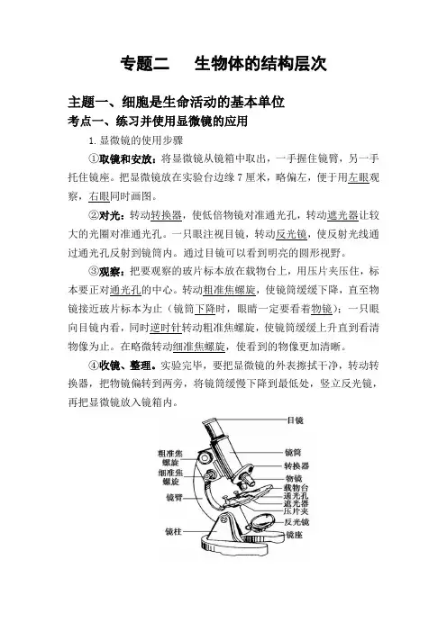 人教版生物中考知识点复习专题二《生物体的结构层次》