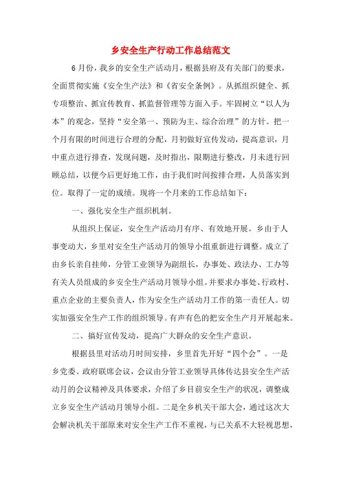 2019年乡安全生产行动工作总结范文