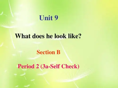 七年级英语下册 Unit 9 What does he look like Section B 2课件 (新版)人教新目标版