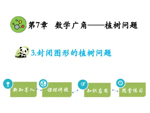 五年级上册数学封闭图形的植树问题