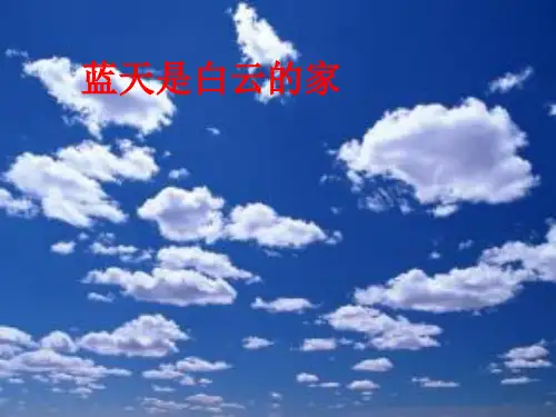 西南师大版三年级语文下册《六单元  27 父亲、树林和鸟》课件_6