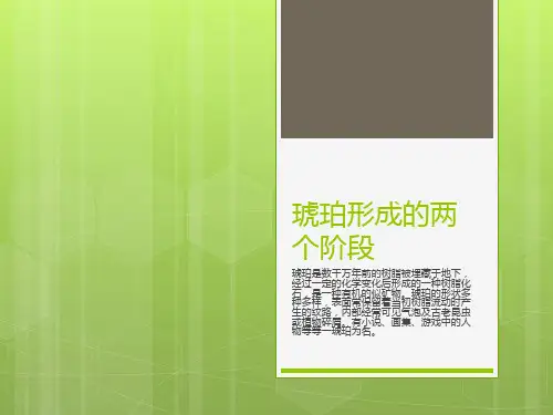 琥珀形成的两个阶段
