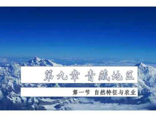 人教版八下9.1 自然特征与农业课件