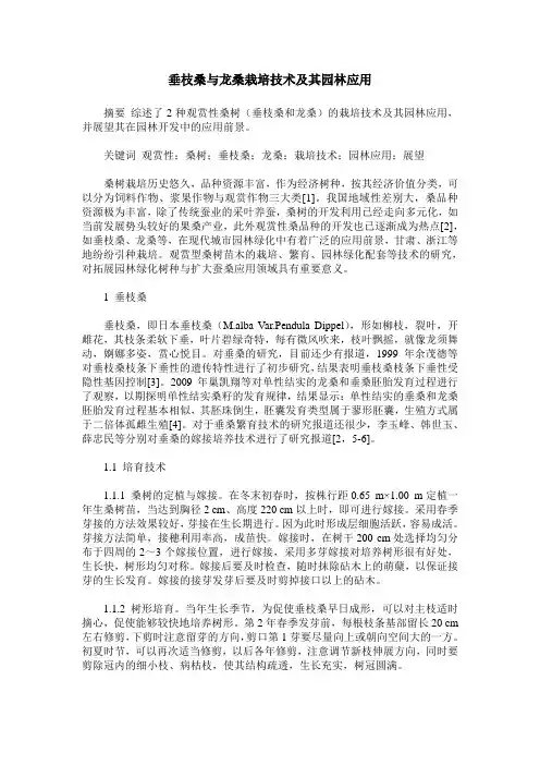 垂枝桑与龙桑栽培技术及其园林应用 2