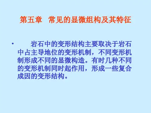 第五章 显微构造