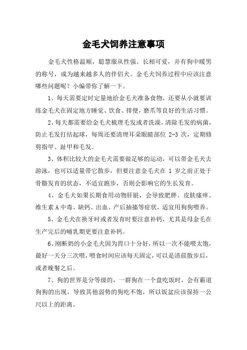 金毛犬饲养注意事项