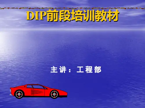 DIP插件前段培训教材