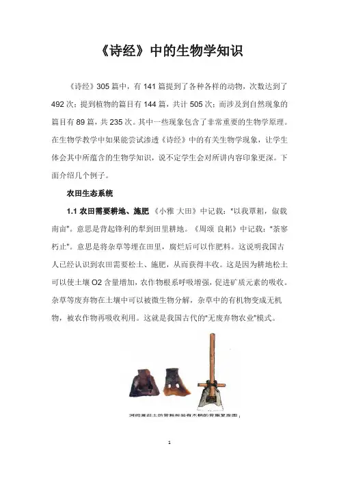 《诗经》中的生物学知识