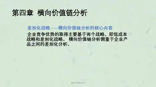 横向价值链分析课件