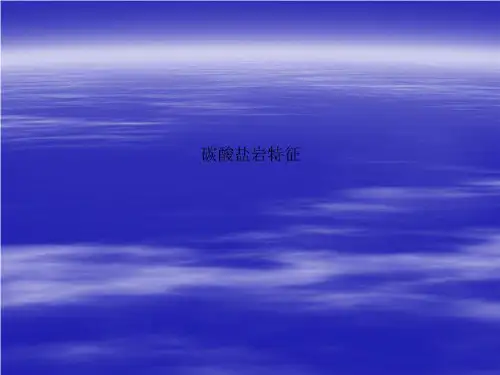 碳酸盐岩特征