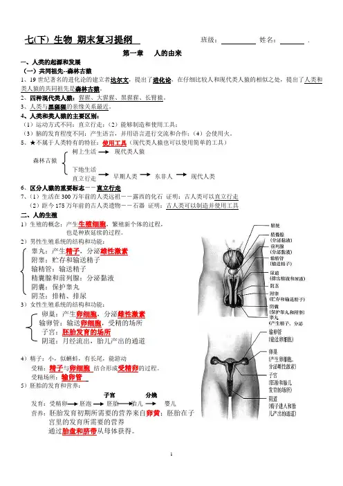人教版生物七年级下学期期中复习 第一至四章复习提纲