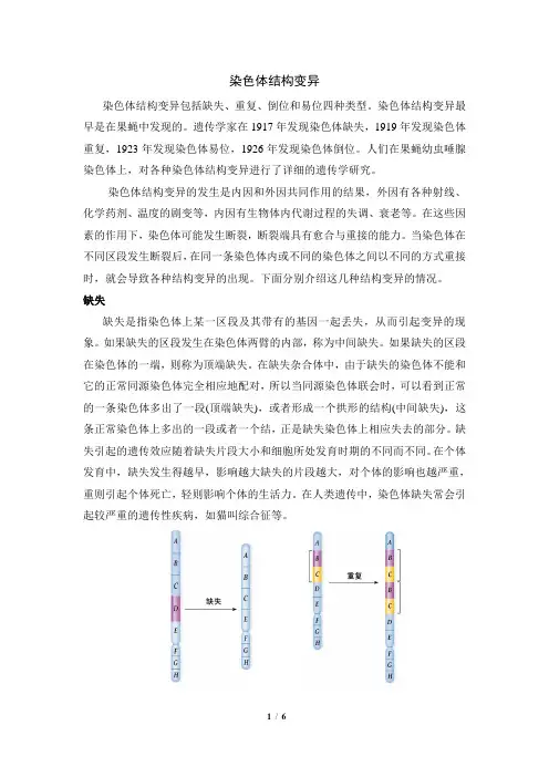 拓展资料：染色体结构变异(附图)