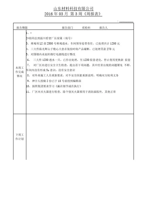 周报表范本 2