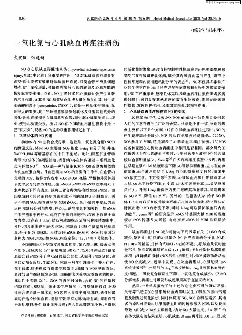 一氧化氮与心肌缺血再灌注损伤