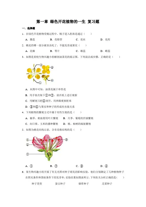 济南版生物八年级上册 第一章 绿色开花植物的一生  复习题(含答案)