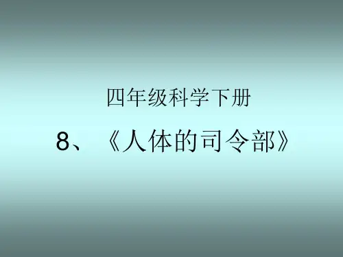 小学科学 《人体司令部》PPT课件