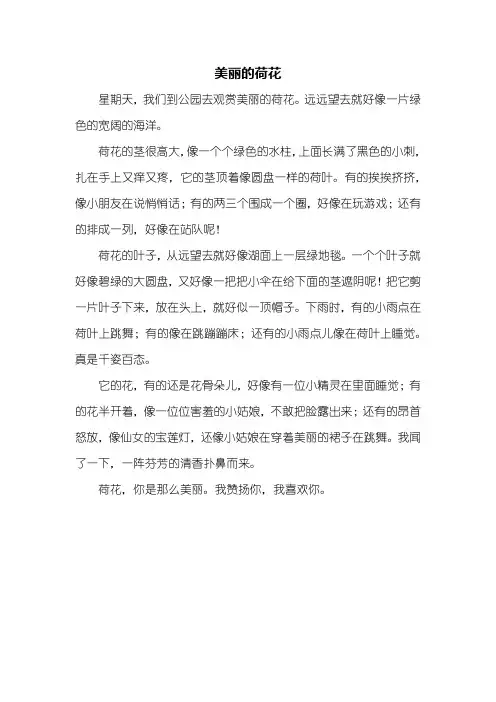 三年级作文：美丽的荷花作文400字_1