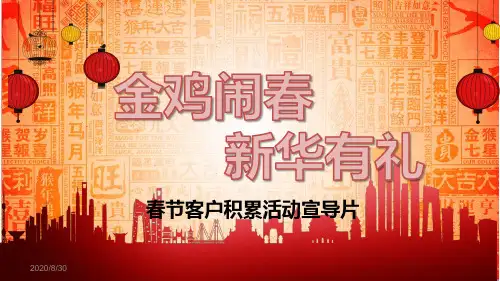 2019年保险公司春节客户积累活动宣导片24页