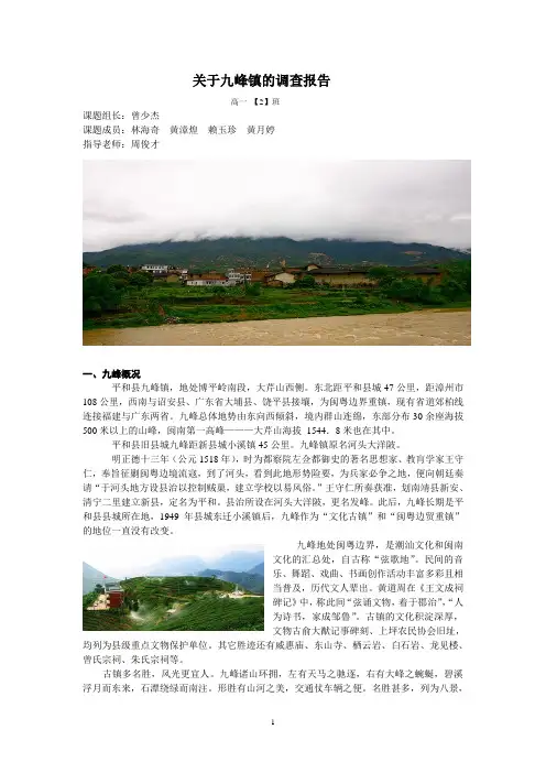 关于九峰镇的调查报告