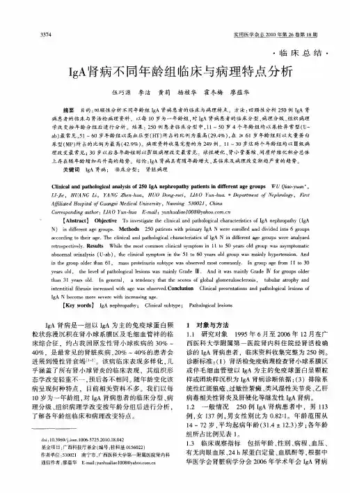 IgA肾病不同年龄组临床与病理特点分析