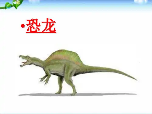 幼儿园大班科学教学PPT：恐龙