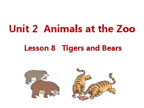 冀教版三年级下册英语U2-L8-Tigers and Bears