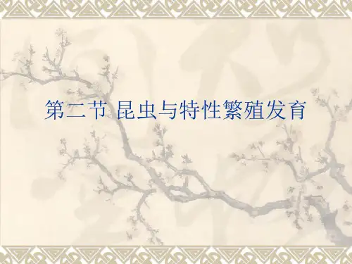 第一章 昆虫的基本知识2讲解