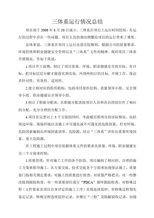 三体系运行情况总结