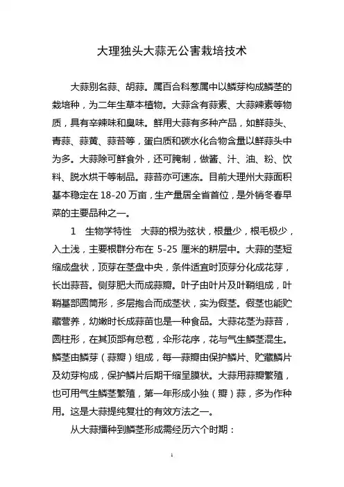 大理独头大蒜无公害栽培技术