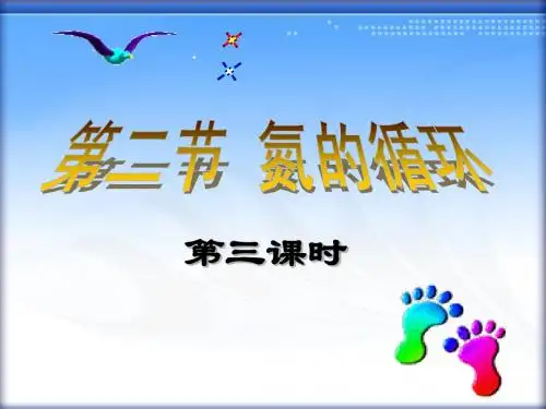 高一化学必修一氮的循环(3)
