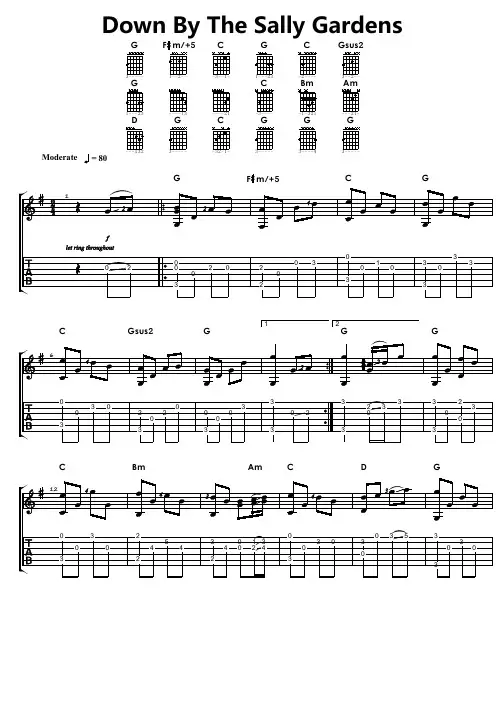 《Down By The Sally Gardens》简单版指弹吉他谱