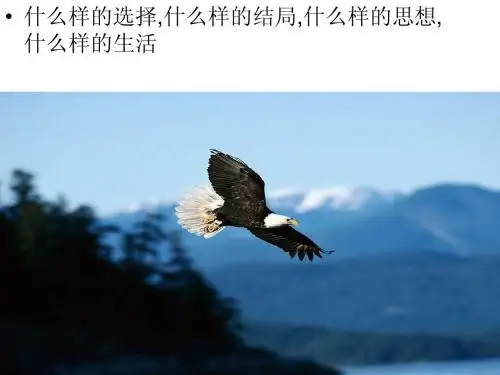 非凡